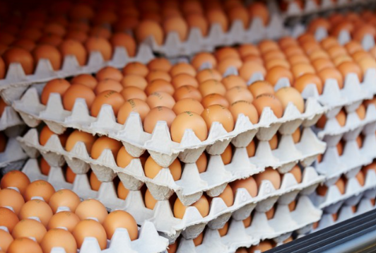 Egg Subsidy Cut in Malaysia: What It Means for Prices and Consumers